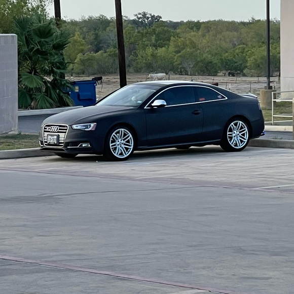 Meet your Posher, Alfredo - Picture 1 of 1